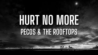 Pecos amp The Rooftops  Hurt No More Lyrics HD [upl. by Waverly957]