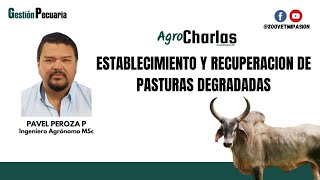 ESTABLECIMIENTO Y RECUPERACIÓN DE PASTURAS DEGRADADAS [upl. by Rory]