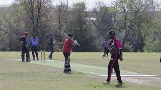 Sharks Cricket Club vs Punjabi Hood  DLCL Fall 30 Over Tournament 2024  Semi Finals  24th Nov [upl. by Eetnahc]