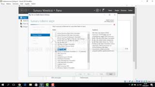 Windows Server DNS kurulumu [upl. by Meara599]