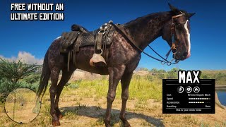 How to get a Reverse Dapple Black Thoroughbred Without an Ultimate Edition of the Game  RDR2 [upl. by Deaner]