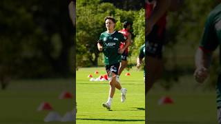 Rabbitohs Pre Season Spotlight  Ashton Ward [upl. by Andros]