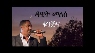 Dawit Melese  Kunjina Lyrics  ዳዊት መለሰ  ቁንጅና ግጥሞች  WowLyricsOfficial [upl. by Anoiuq301]