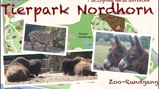 Tierpark Nordhorn 2020 🦓  ZooRundgang 1 [upl. by Nyleikcaj]