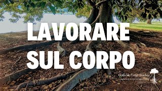 LAVORARE sul CORPO in PSICOLOGIA basta parlare [upl. by Llemij]