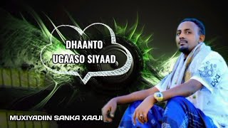 DHAANTO  UGAASO SIYAAD  MUXIYADIIN SANKA XAAJI [upl. by Hersh]