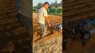 Rotary tillage weeding and furrowing [upl. by Honorine]