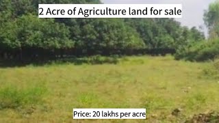 2 Acre  Agricultural land for sale  Gandaboyanapalle  Chittoor Dist  Andhra Pradesh [upl. by Sindee]