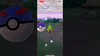 I caught this shiny on my insance in Pokémon go [upl. by Adnirual]