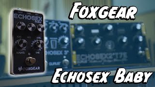 Tape Echo In A Box Foxgear Echosex Baby [upl. by Mungo]