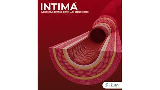 INTIMA Everolimus eluting coronary stent system [upl. by Wachter]