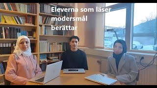 Eleverna i modersmål berättar [upl. by Staten]