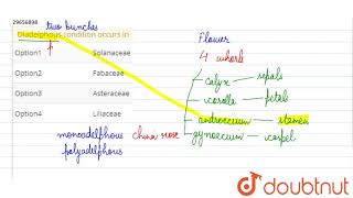 Diadelphous condition occurs in  11  MORPHOLOGY OF FLOWERING PLANTS  BIOLOGY  A2Z  Doubtnu [upl. by Eelaroc]