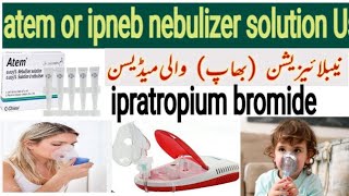 atem nebulizer solution  ipratropium bromide nebulizer how to use salbutamol respiratory soltion [upl. by Gibun736]