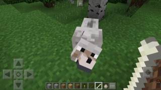 COMO DOMESTICAR UN LOBO EN MINECRAFT POCKET EDITION [upl. by Rundgren]