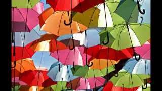 Hundreds of Floating Umbrellas in a Street in Agueda Portugal HD 2024 [upl. by Melone]