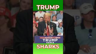 Donald Trump On Sharks shorts trumprally donaldtrump sharks [upl. by Asilat]