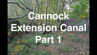 38 Cannock Extension Canal part one  Pelsall to Norton Canes [upl. by Eelaras637]