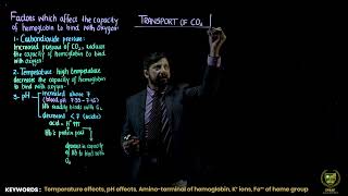 Transport of CO2  11TH BIOLOGY  CHP 13  LECTURE 14 [upl. by Teryl193]