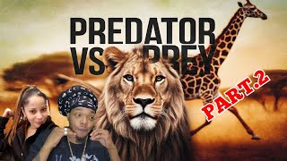 The Evolution of Fear Predator vs Prey Dynamics Part 2 [upl. by Florencia]