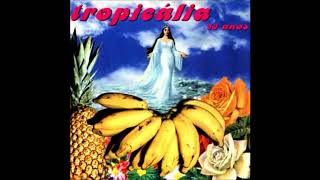 Tropicália 30 anos  full album [upl. by Irihs780]