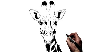 How To Draw A Giraffe  Step By Step [upl. by Ella546]