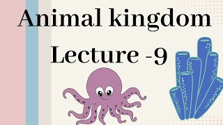 Annelida  Animal kingdom Lecture  9 [upl. by Airamanna]