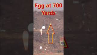 Eggs at 500 amp 700 yards [upl. by Nannarb]