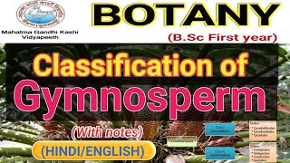 Classification of Gymnosperms [upl. by Siuluj78]