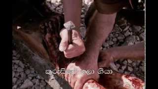 Sinhala Geethika Hymns Mau Piya Senehasa With Chords [upl. by Janine]