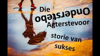 10 Maart 2024  Die Onderstebo en Agterstevoor storie van sukses  Kyk na die voëls [upl. by Adnamal]