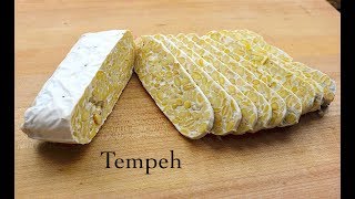 Tempeh [upl. by Leisam610]