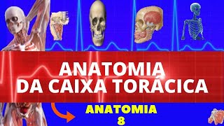 CAIXA TORÁCICA ESTERNO COSTELAS e CARTILAGENS COSTAIS ANATOMIA [upl. by Koenig]