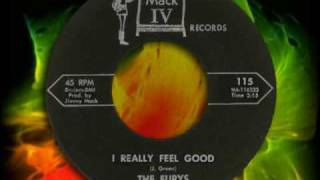 The Furys  I Really Feel Good 1962 [upl. by Hannaoj]