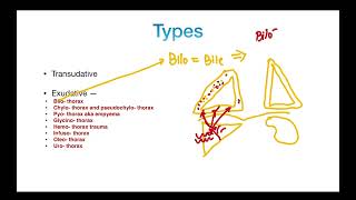 Pleural Effusion  Types  TRANSUDATE versus EXUDATE  Clinical Features  PART 2 [upl. by Ayotna]