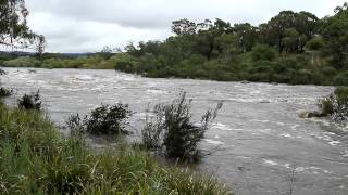 Shoalhaven River in Flood [upl. by Caines]