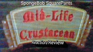 SpongeBob SquarePants MidLife Crustacean ReactionReview [upl. by Anitserp]