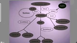 Lipoxins nature’s way to resolve inflammation – Video abstract ID 90380 [upl. by Jentoft653]