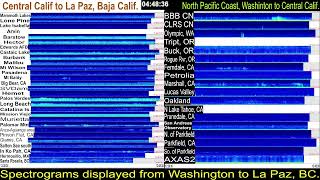 Live Washington State to Baja California West Coast Earthquake Monitor [upl. by Kleper]