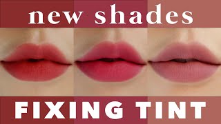 NEW SHADES 🤎Etude House FIXING TINT All Shade Swatches amp Comparisons  신상컬러 에뛰드 픽싱틴트 전색상 발색 amp 비교 [upl. by Idihc]