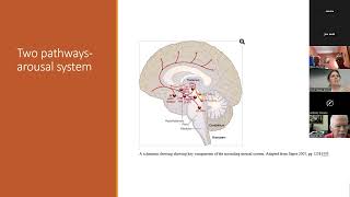 Dr Bodkin Sleep Presentation [upl. by Orlanta]