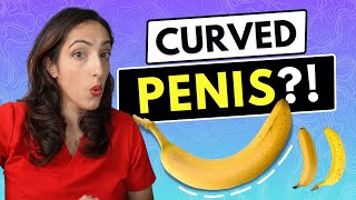 Do Normal Penises Have A Curve A Urologist Explains [upl. by Selohcin]