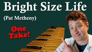 BRIGHT SIZE LIFE in one take Pat Metheny [upl. by Ermina516]