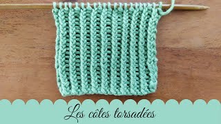 POINT AU TRICOT  Les côtes 11 torsadées [upl. by Aciretahs]