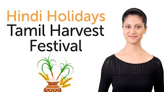 Learn Hindi Holidays  Pongal  Tamil Harvest Festival  पोंगल [upl. by Adnauqal]