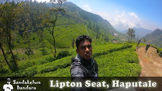 Haputale  Lipton Seat  Amazing Tea Estate [upl. by Banky]