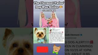 The BGC Clermont Twins Shannon amp Shannades Teacup Yorkie Chase Was Stolen  Reward For His Return [upl. by Braden961]