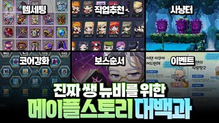 「뉴비 필수 시청」 영상 하나로 끝내는 메이플스토리 페이지 [upl. by Adla]