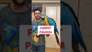 Parrot Palooza is Back Educational Bird Event in NJ 2024 [upl. by Leftwich]