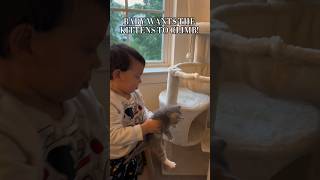 BABY WANTS KITTENS TO CLIMB shorts funnybaby funnycats [upl. by Imtiaz738]